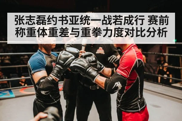 张志磊约书亚统一战若成行 赛前称重体重差与重拳力度对比分析