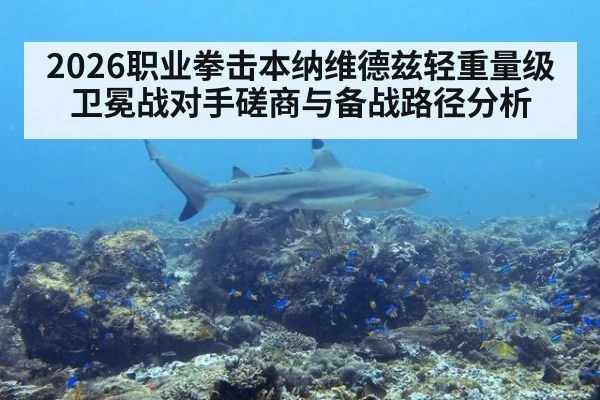 2026职业拳击本纳维德兹轻重量级卫冕战对手磋商与备战路径分析