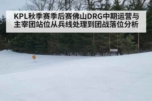 KPL秋季赛季后赛佛山DRG中期运营与主宰团站位从兵线处理到团战落位分析